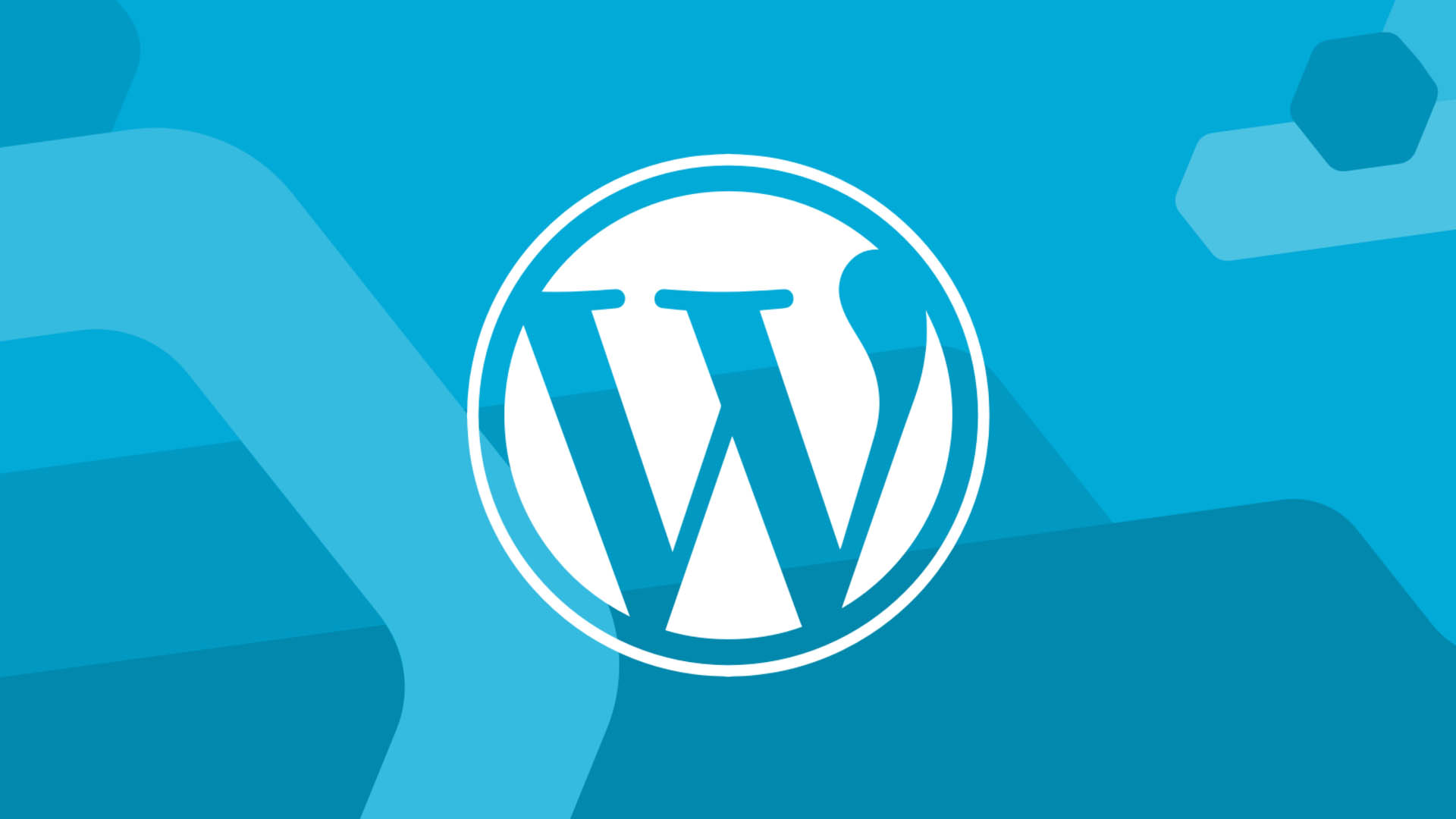 WordPress Sıkça Sorulan Sorular (FAQ Schema) Eklentisi - 2023 Güncel