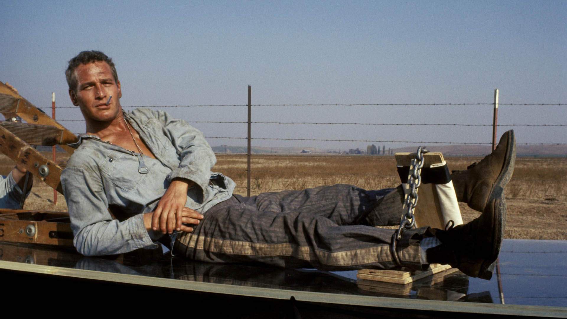 Kalkınma (Cool Hand Luke)