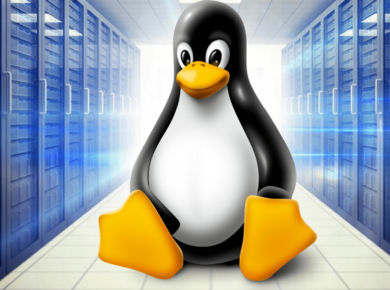 Linux ve Windows Hosting Arasındaki Farklar Nelerdir?