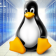 Linux ve Windows Hosting Arasındaki Farklar Nelerdir?