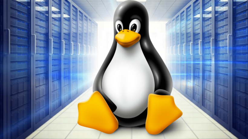 Linux ve Windows Hosting Arasındaki Farklar Nelerdir?