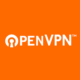 OpenVPN Nedir, Nasıl Kurulur? Güvenli İnternet Erişimi İçin Adım Adım Rehber