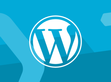 WordPress Teması Seçerken Dikkat Etmeniz Gereken 10 Nokta