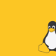 Linux'un Tarihi: Açık Kaynak Dünyasının Doğuşu ve Yükselişi